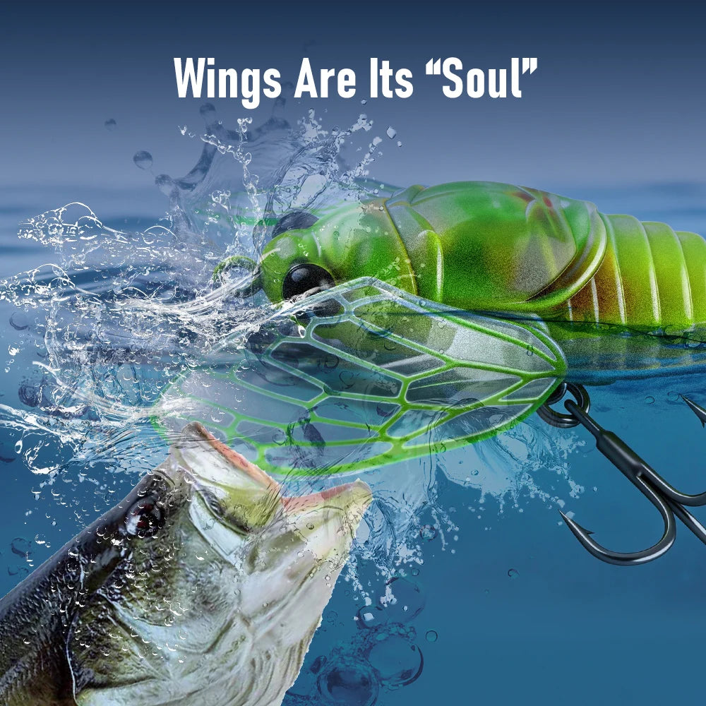 Kingdom 3pcs New Cicada Fishing Bait 27mm 2.4g Topwater Bionic Insect With Swings Artificial Hard Wobbers For Bass Trout Fishing
